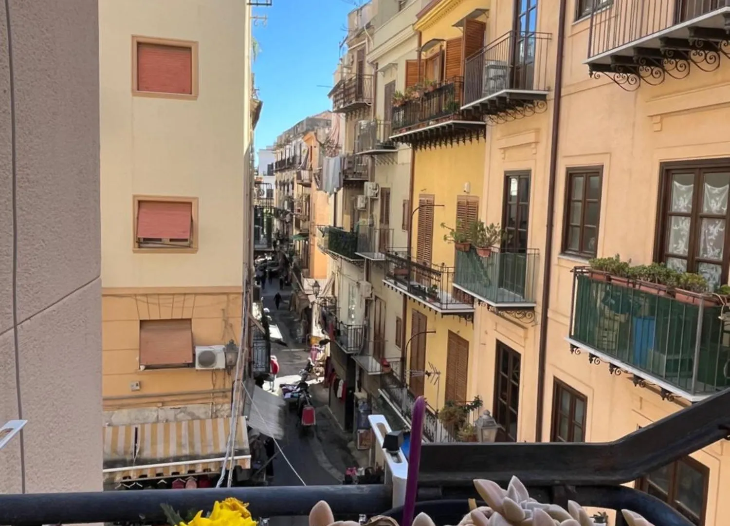 Donizetti 19 Hotel Palermo Guest house